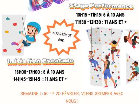 Stage d'escalade