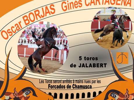Corrida portugaise à Cazaubon
