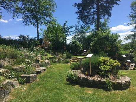 Ethnobotanical garden "Once upon a time... a storyteller garden"