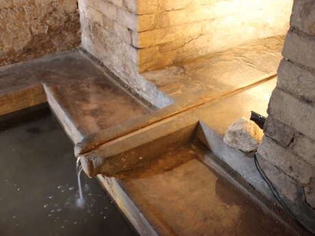 Visite de la Fontaine de la Pissotte, la source cachée