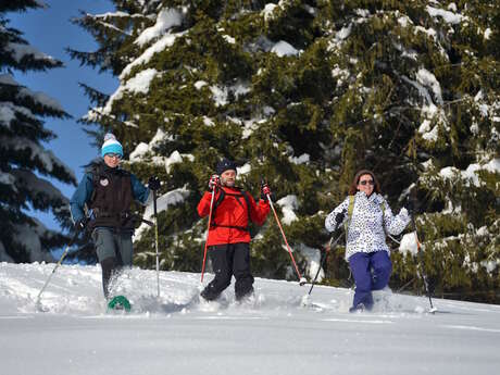 Schneeschuh-Route : Les Evettes von Flumet aus