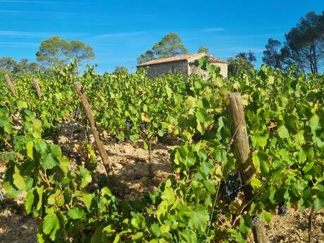 Domaine du Grand Saint Paul