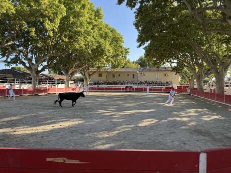 Fête du club taurin "Lou Biou Gravesounen"