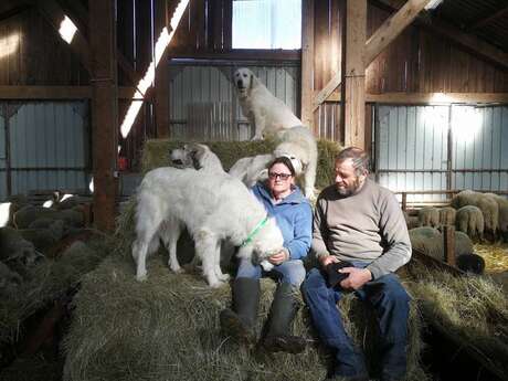 Ferme des Sagnes