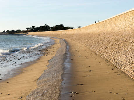 Guided tour: Against all odds, the Boutillon sea wall
