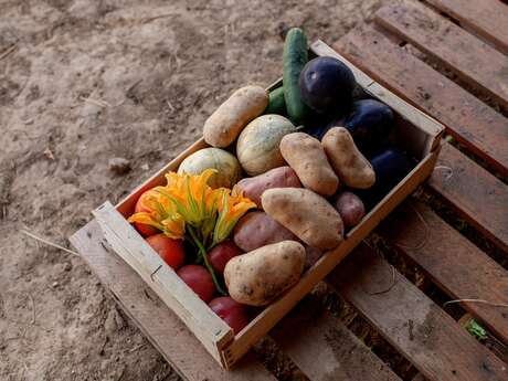 Essentiels Sainte Victoire