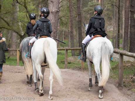 Balades à cheval et à poney