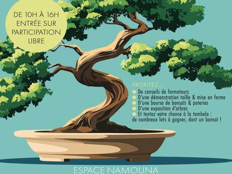 “Art Bonsai Club” Day to benefit the Téléthon.