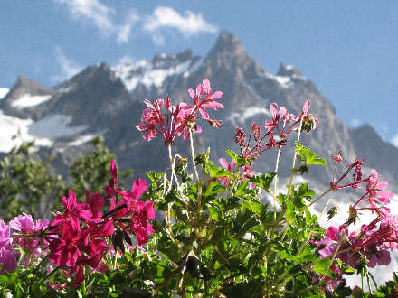 Restaurant La Meijette
