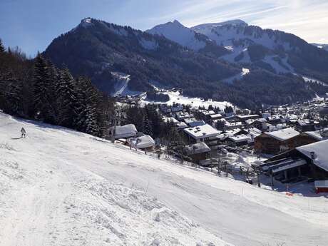 4 pièces - Les Oisillons