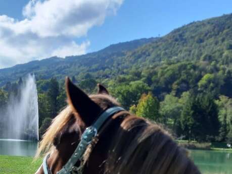 Balade à Poney autour du Lac de la Mirande