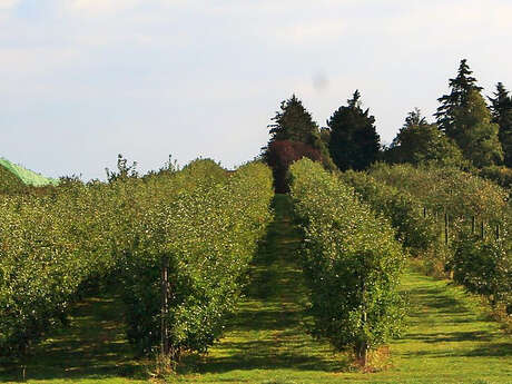 Comptoir des Pommes