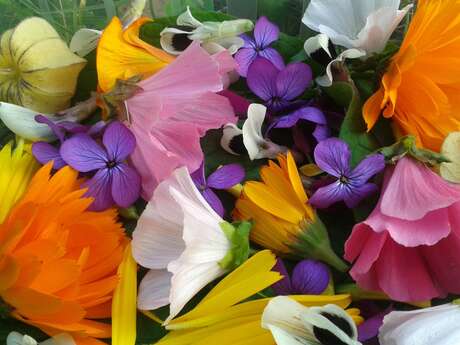 Produttore Eve Vernice Fiori commestibili