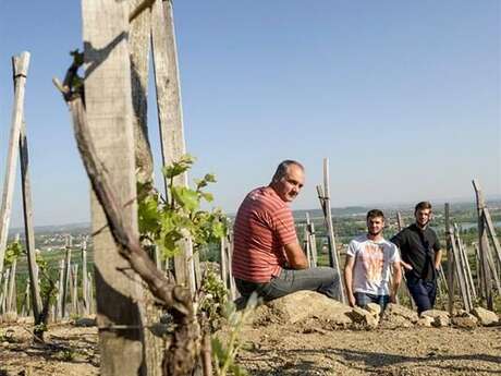 Portes ouvertes au Domaine Pichon