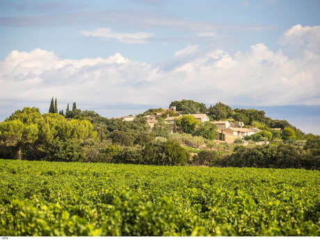 9 - Le vignoble de Plan de Dieu entre Aygues et Ouvèze