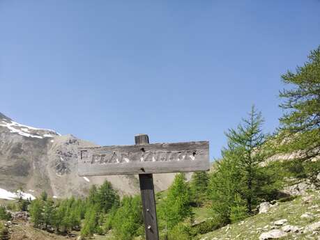 Boucle de Plan Vallon