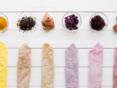 Conferenza sul colore: i pigmenti della vita