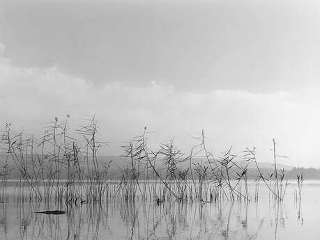 Exposition : APAX nouvelles images - Valérie Gaillard