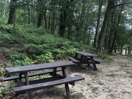 Aire de pique-nique du cheminement piéton