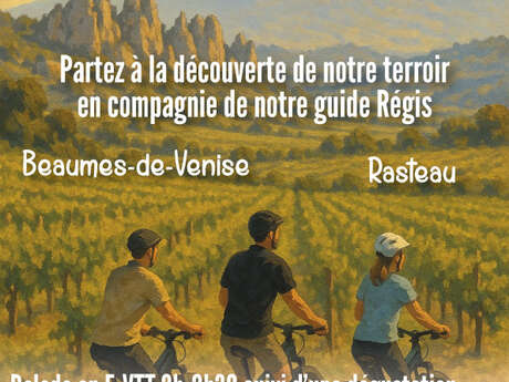 Balade à VTT électrique dans le vignoble et dégustation - Rhonéa