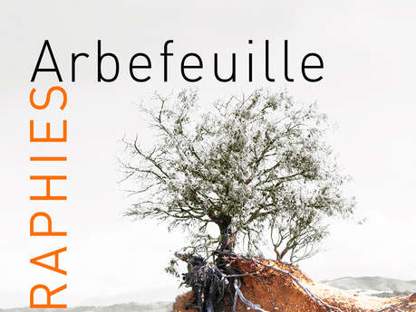 Anne-Marie Arbefeuille - Photographe