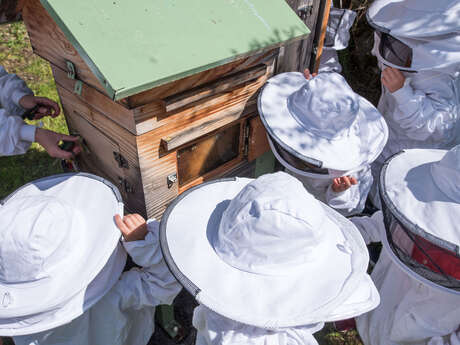 Workshop: ‘Bees for Little Ones’