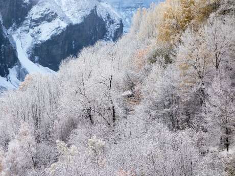 Exposition : "Lumières en Ecrins"
