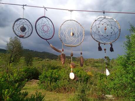 Les mercredidis des enfants - Workshops im Wald