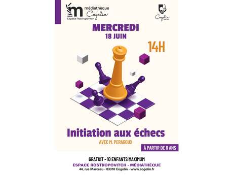Introduction to chess