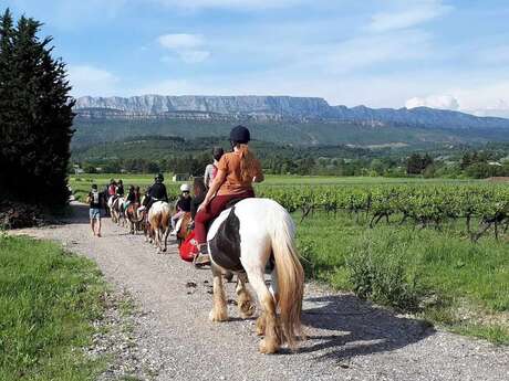 Club Hippique du Grand Vallat