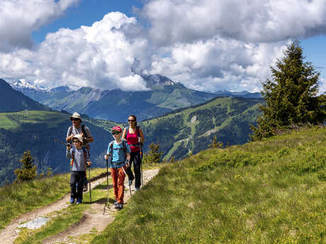 Randonnée pédestre : Aiguillette des Houches