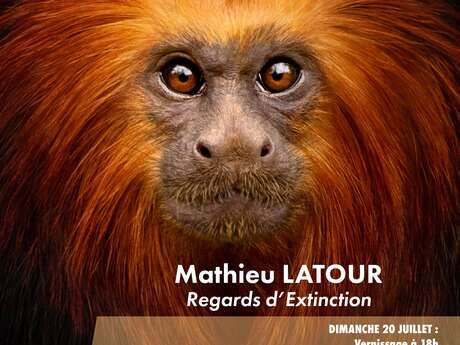Exposición / Venta / Conferencia «Regards d'extinction» de Mathieu LATOUR