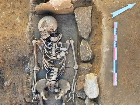 Conférence : La Fouille du 41 Cours Gambetta