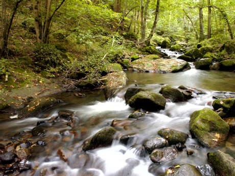 Les gorges d'Enval - Les balades de Léa et Tino