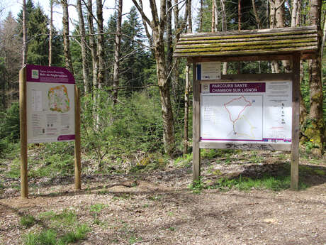 Parcours d'orientation du bois de Peybrousson