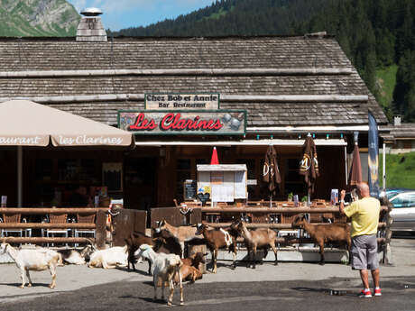Restaurant les Clarines