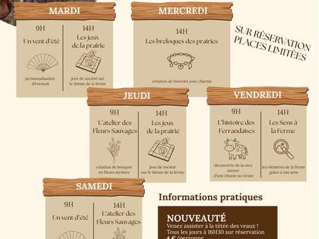 Un été à la ferme – Ateliers créatifs et découverte d'un élevage de…