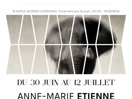 Mostra : Anne-Marie ETIENNE