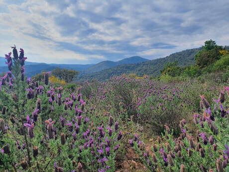 Ateliers d’échanges