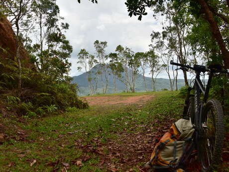 Mountain Bike Panoramic Trail - Great Ferns Park