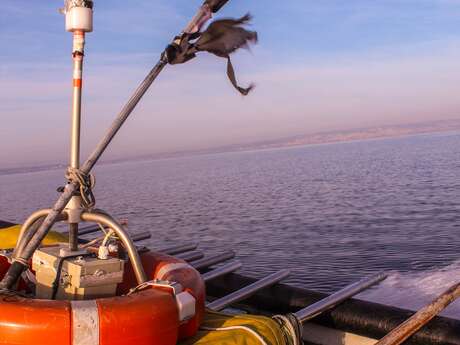 Découverte de la pêche à la traîne