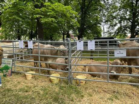 Journée de l'Agriculture