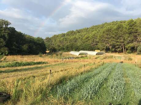 Le maraicher de Bimont