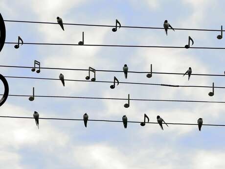 Musik im Dorf - Die Triade