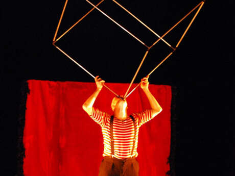 Le spectacle : "Un clown peut en cacher un autre"