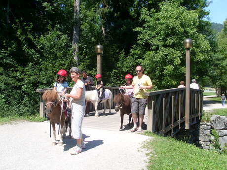 Balades à poney