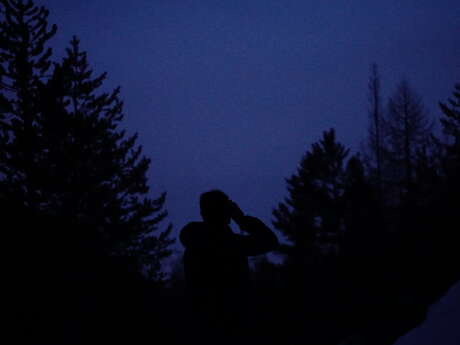 Balade nocturne : chouette soirée en forêt