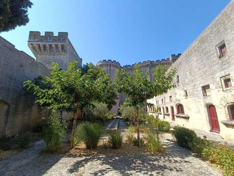 Château de Tarascon/Visite Musicale