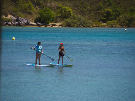 Nouméa Sup School