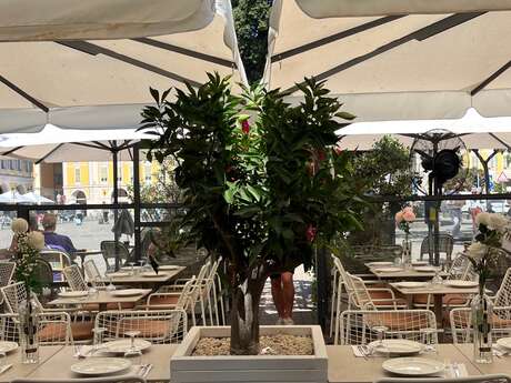 Brasserie Roze